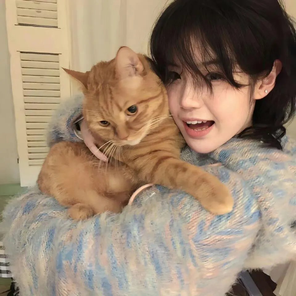 猴子海滩