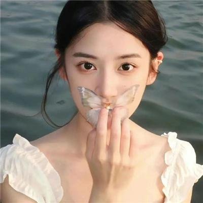 美人镖局